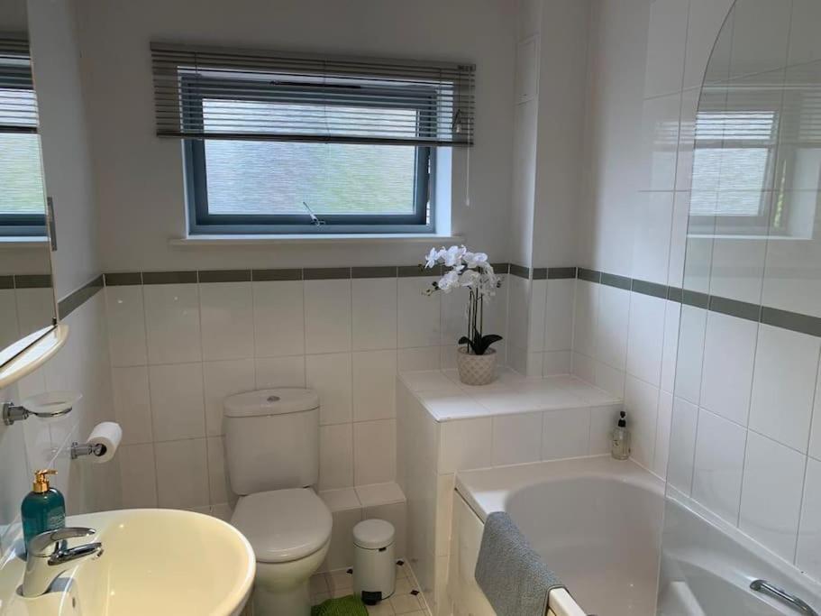 Brownberry Tree Serviced Apartment CBG Exterior foto